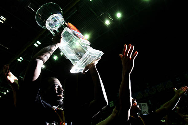 的一枚芯片 的一枚芯片